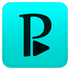 perfectplayer logo perfectplayer logo